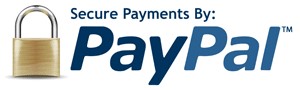 secure paypal payments